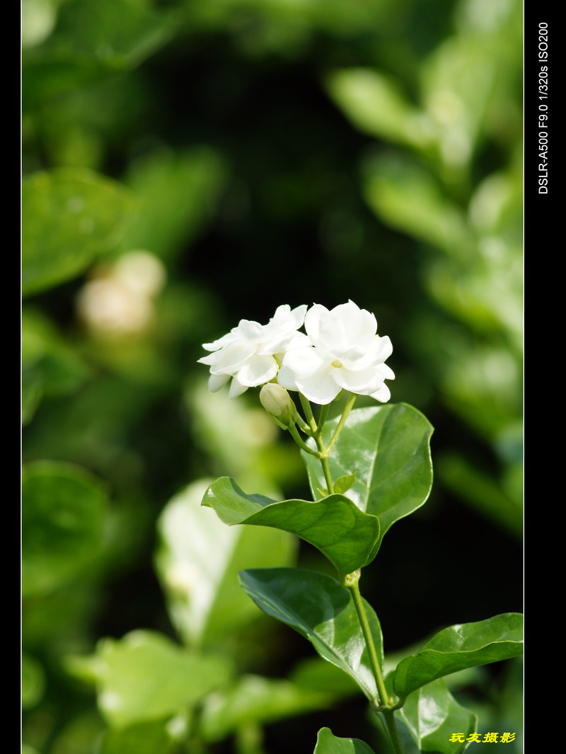 a7667542_s.jpg