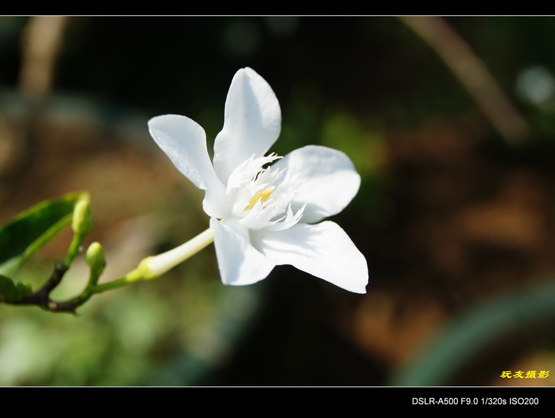 a7667473_s.jpg