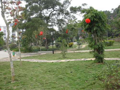 照片 0232.jpg