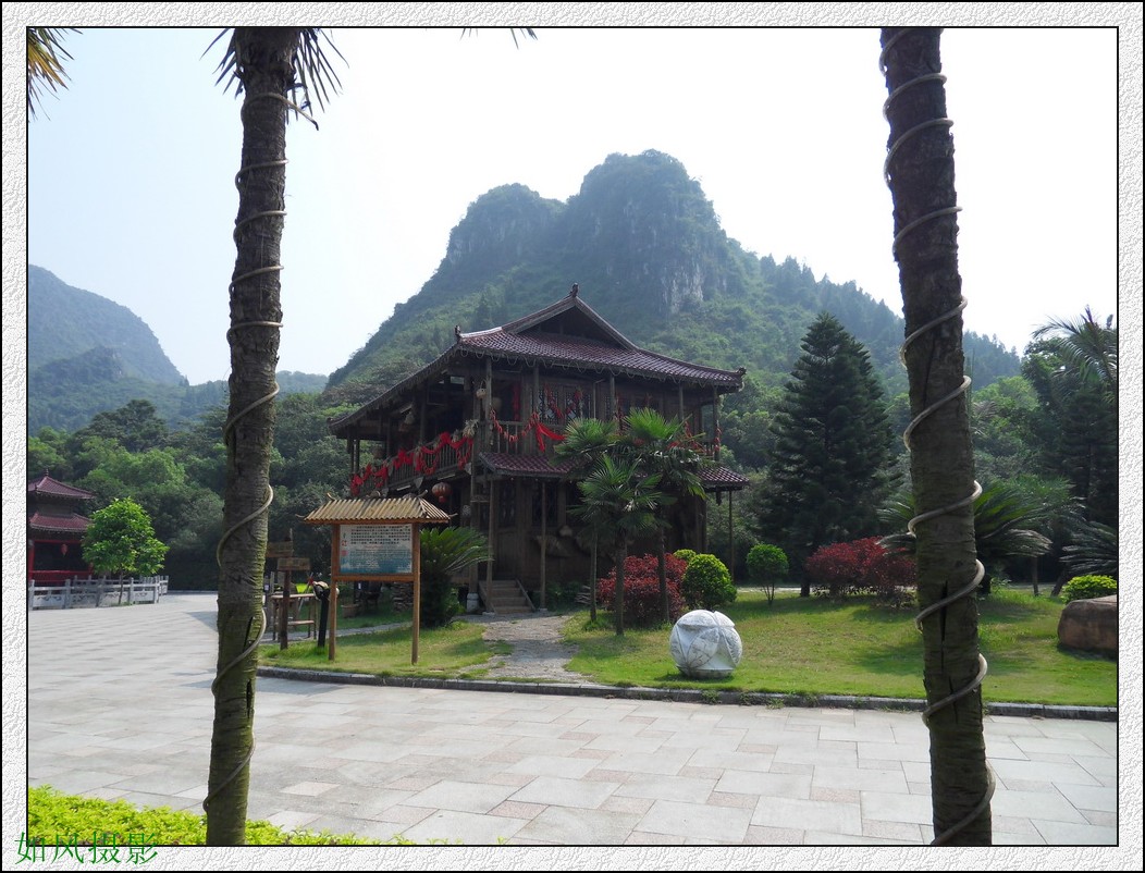 SDC16408_conew1.jpg