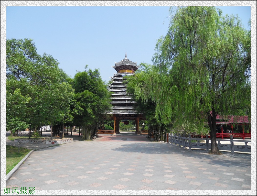 SDC16409_conew1.jpg