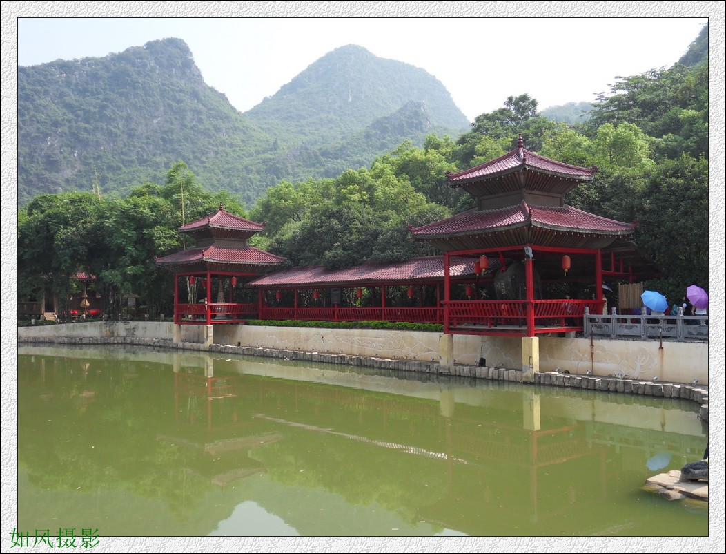 SDC16418_conew1.jpg