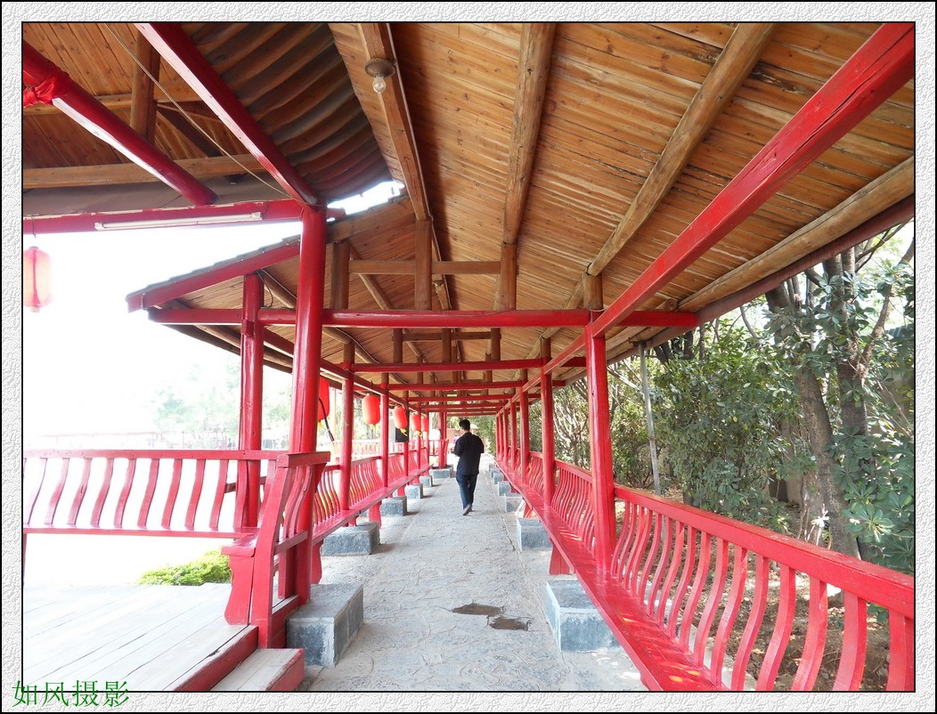 SDC16424_conew1.jpg