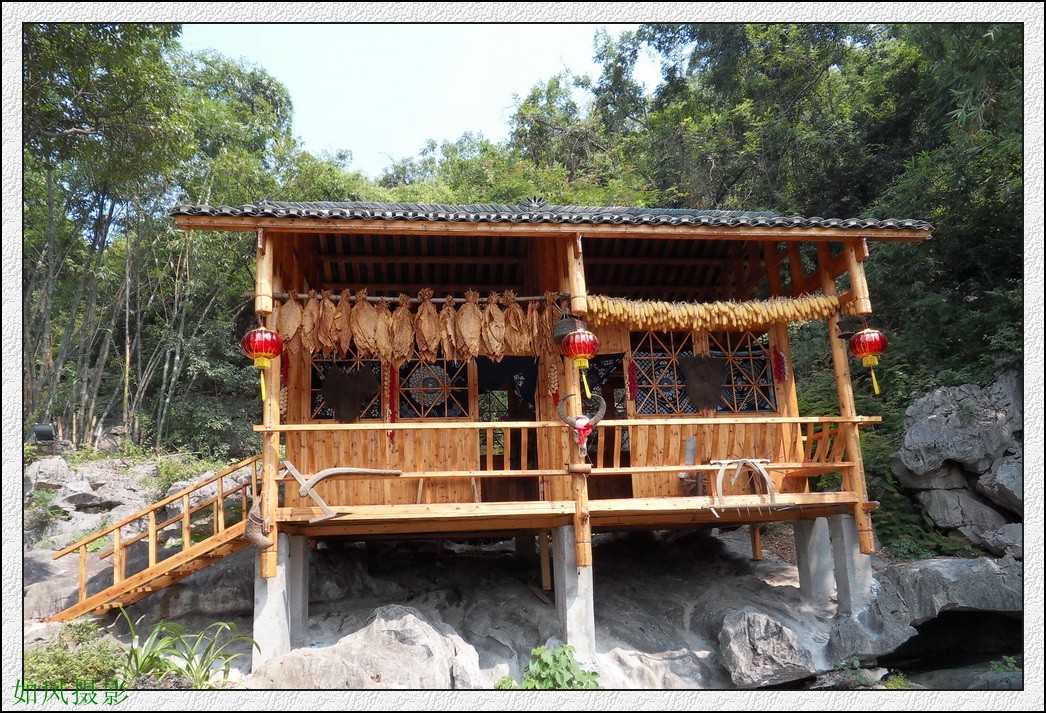 SDC16433_conew1.jpg