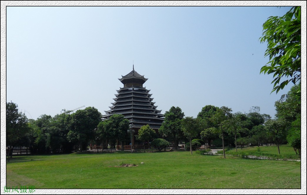 SDC16473_conew1.jpg
