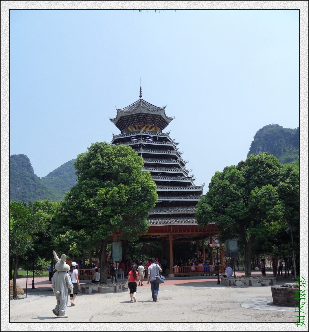 SDC16688_conew1.jpg