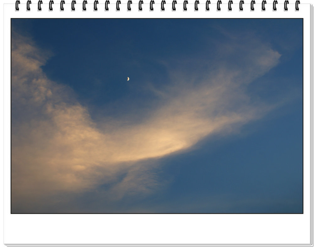 DSC07206.JPG