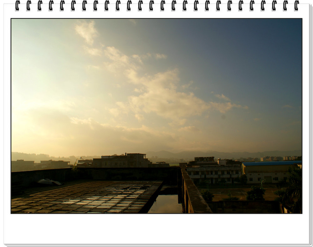 DSC06979.jpg