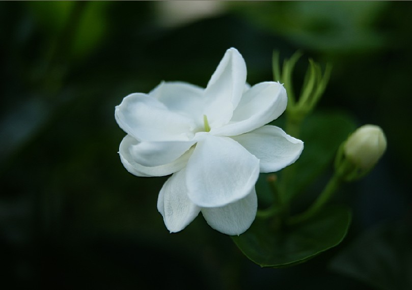 未命名1.jpg