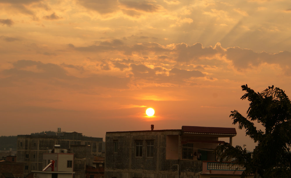 DSC07402.jpg