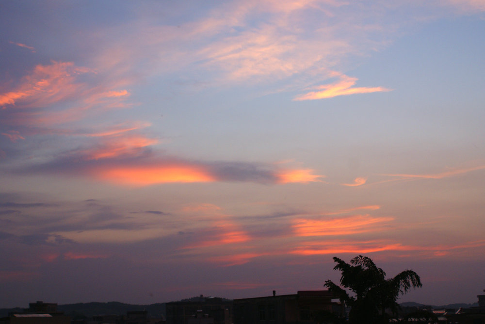 DSC07466.jpg