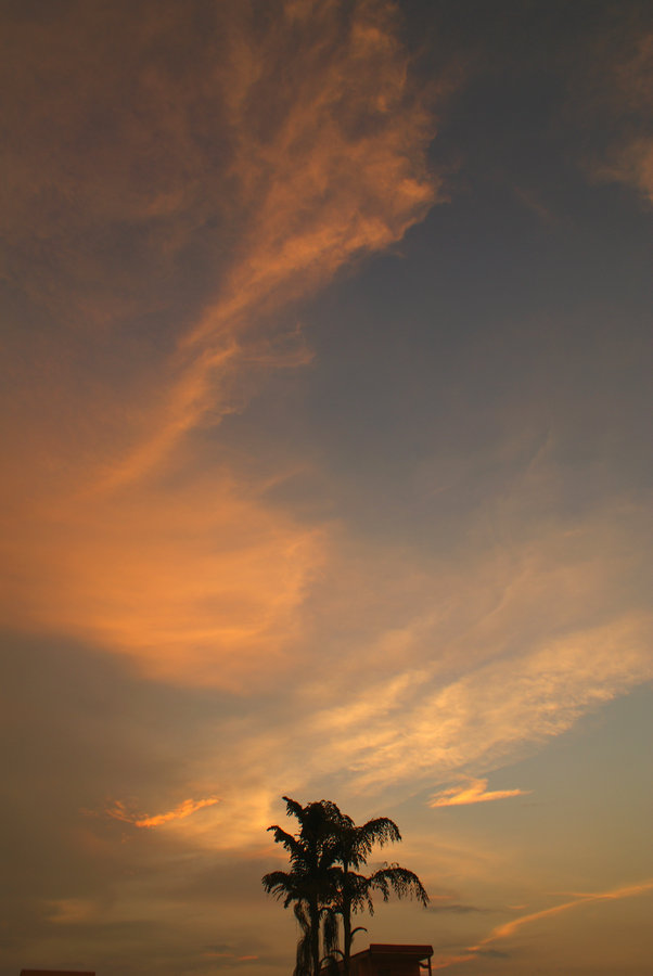 DSC07452.jpg