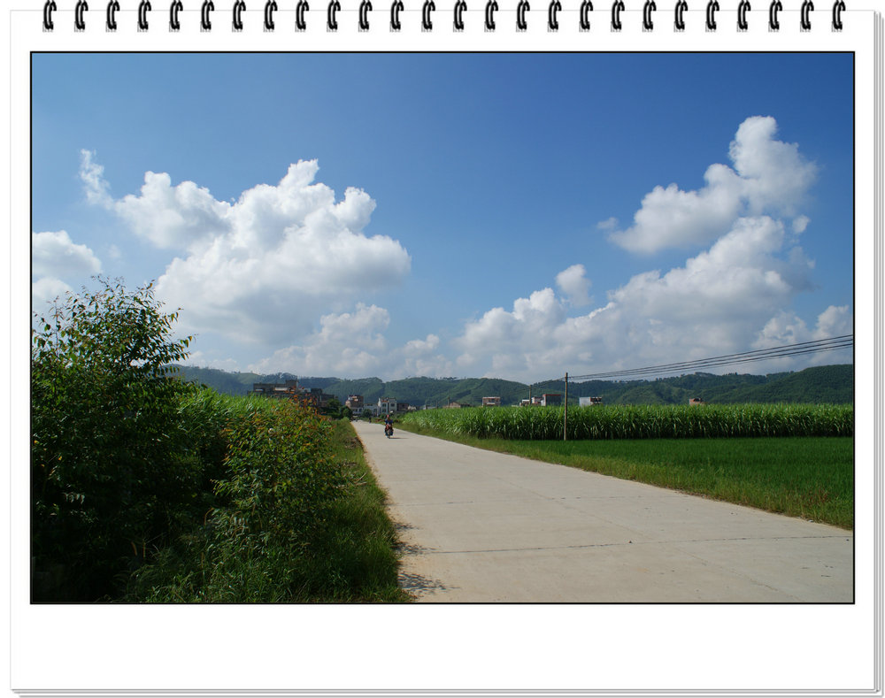 DSC07555.JPG