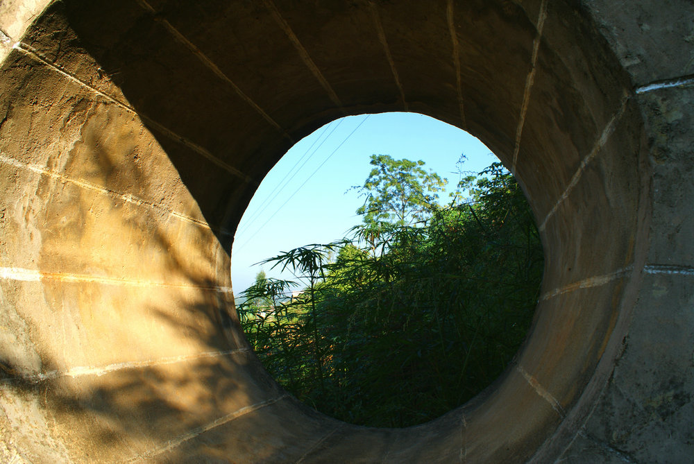 DSC07908.JPG