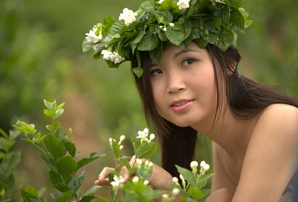茉莉仙子.jpg