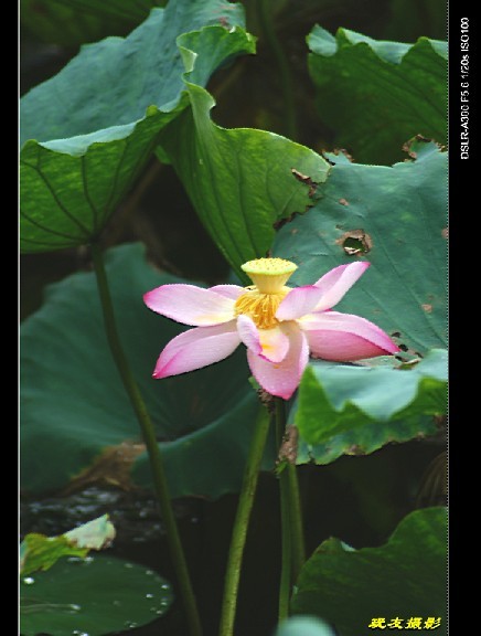未命名5.jpg