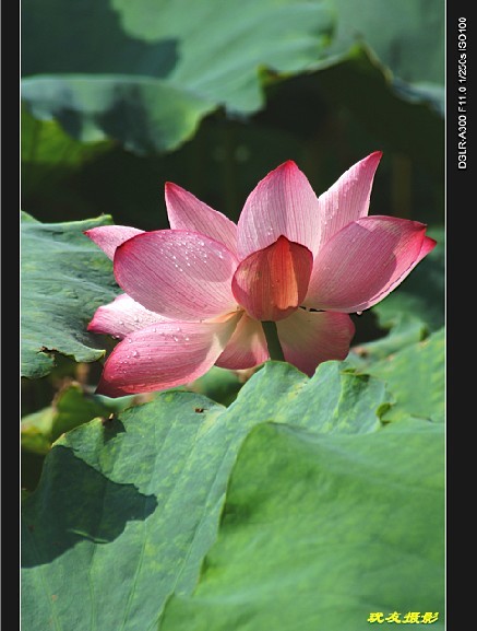 未命名6.jpg