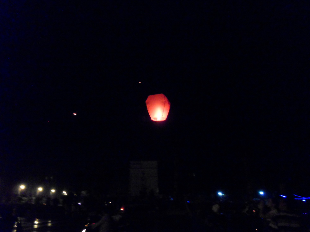 SDC17392.jpg