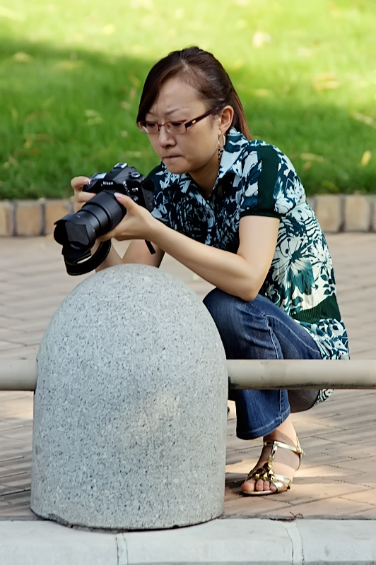 7968508.jpg