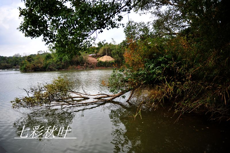 KAA_8135.jpg
