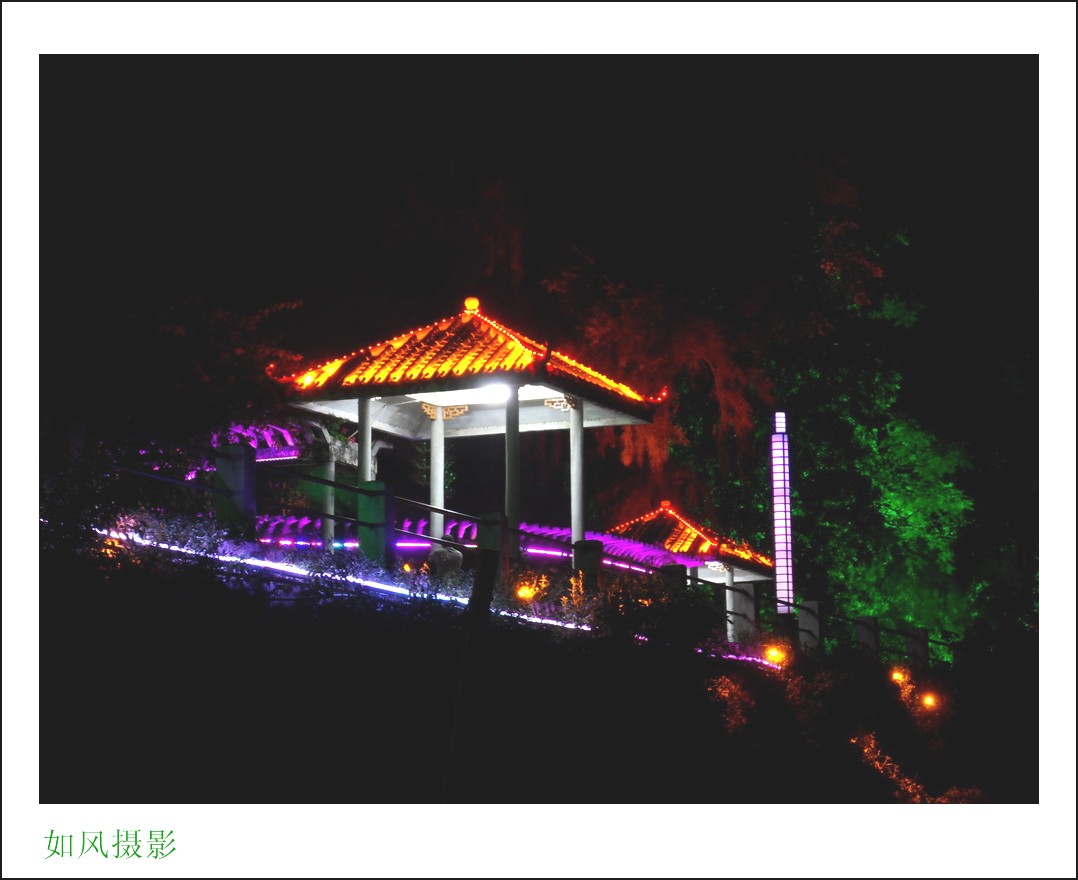 SDC17512_conew1.jpg