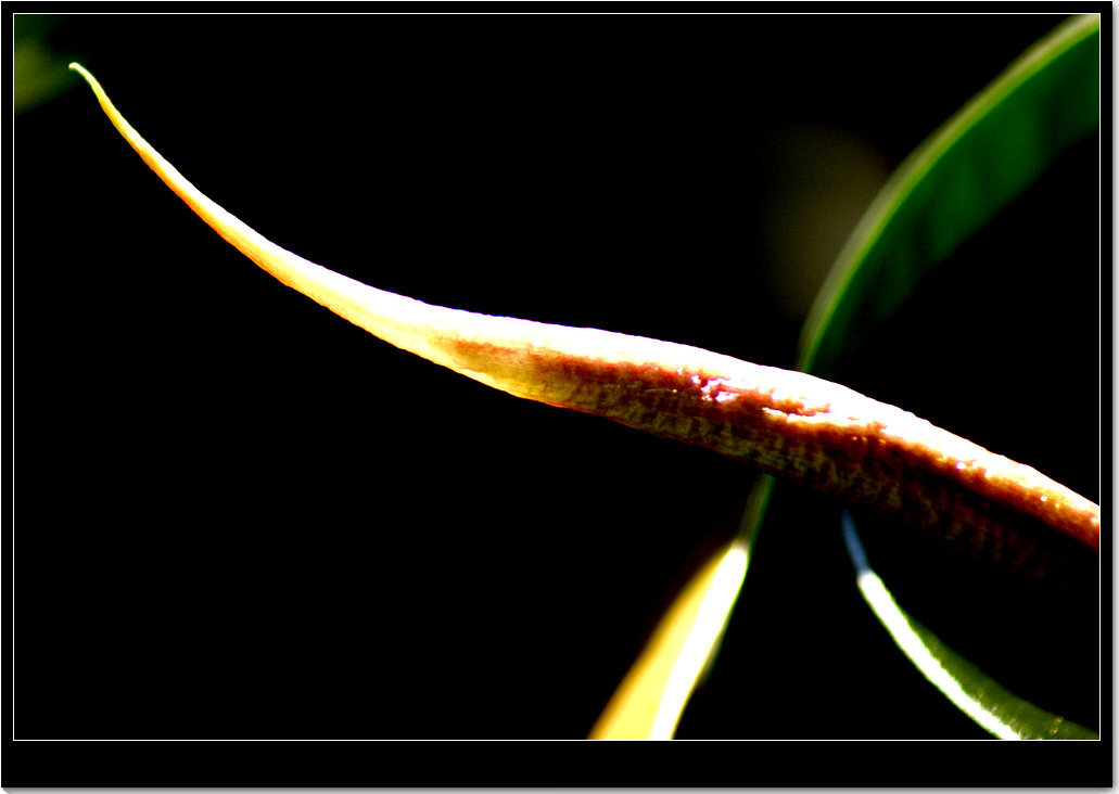 DSC09032_副本.JPG