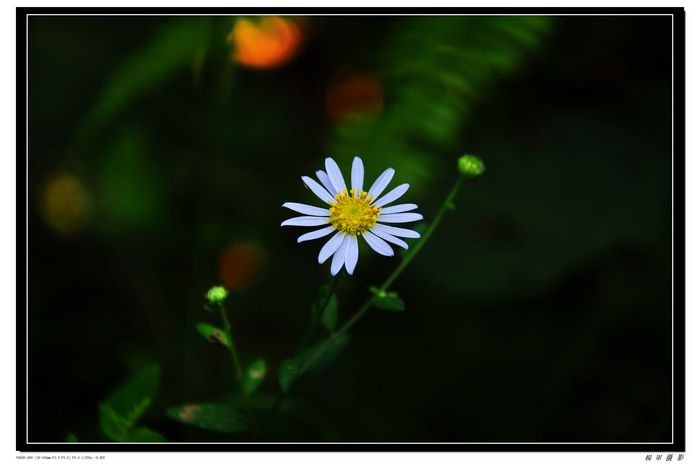 DSC_2800.jpg