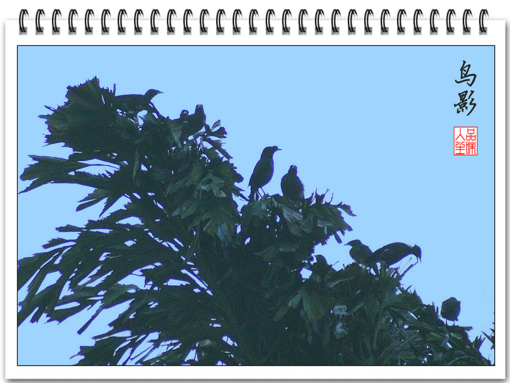 DSC09458.JPG