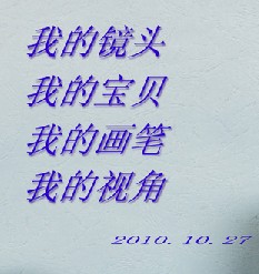 照片.jpg