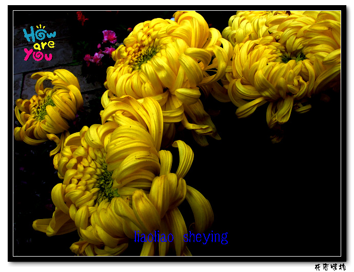 DSCF3847.JPG