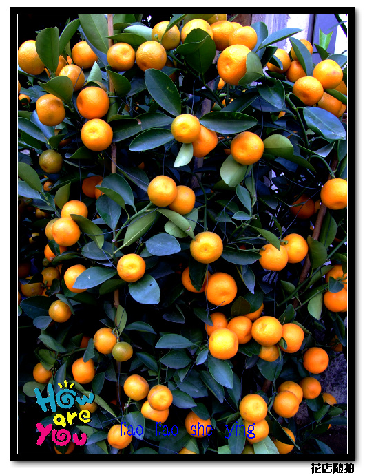 DSCF3859.JPG