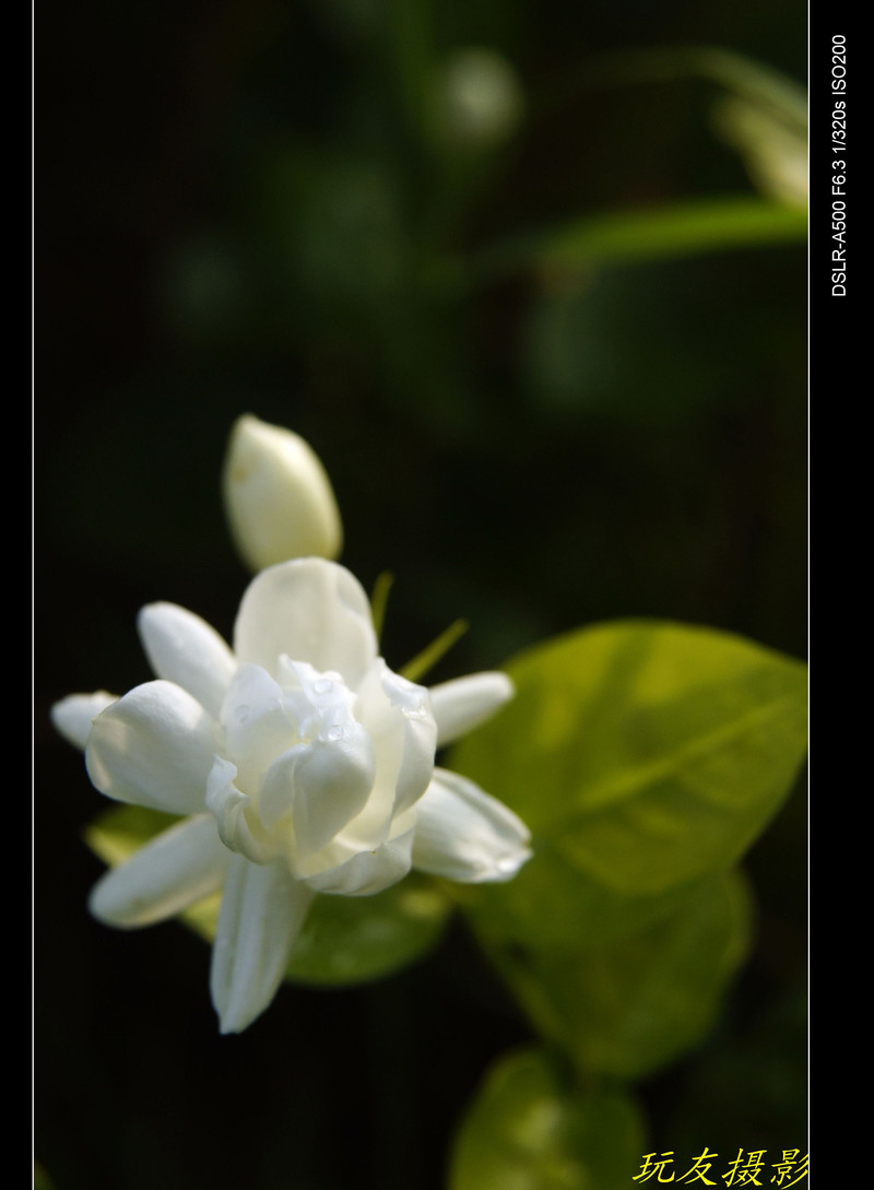 a7804426_s.jpg