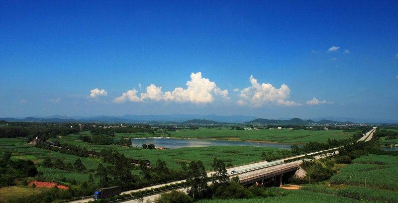 IMG_4632良圻农场.jpg