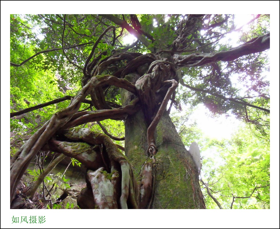 SDC15728_conew1.jpg