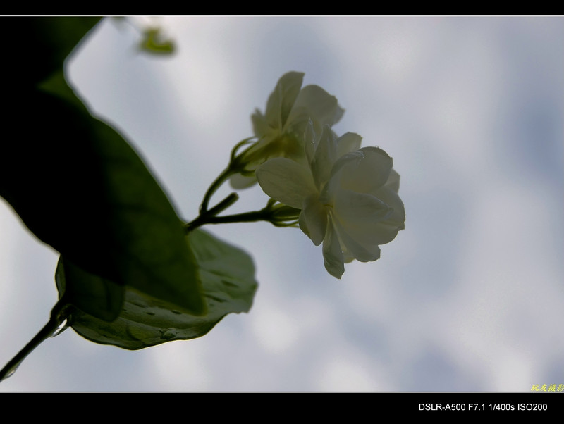 a7818248_s.jpg