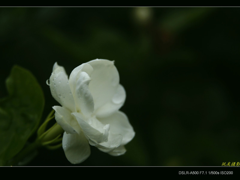 a7818196_s.jpg