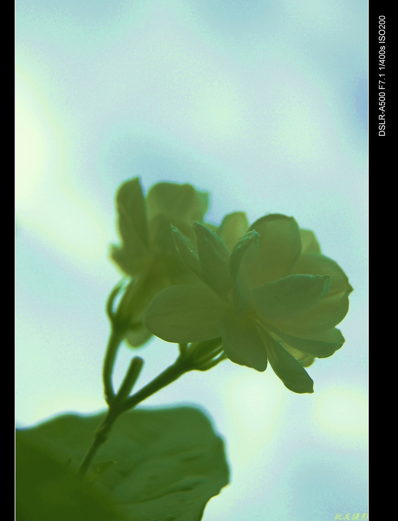 a7818230_s.jpg