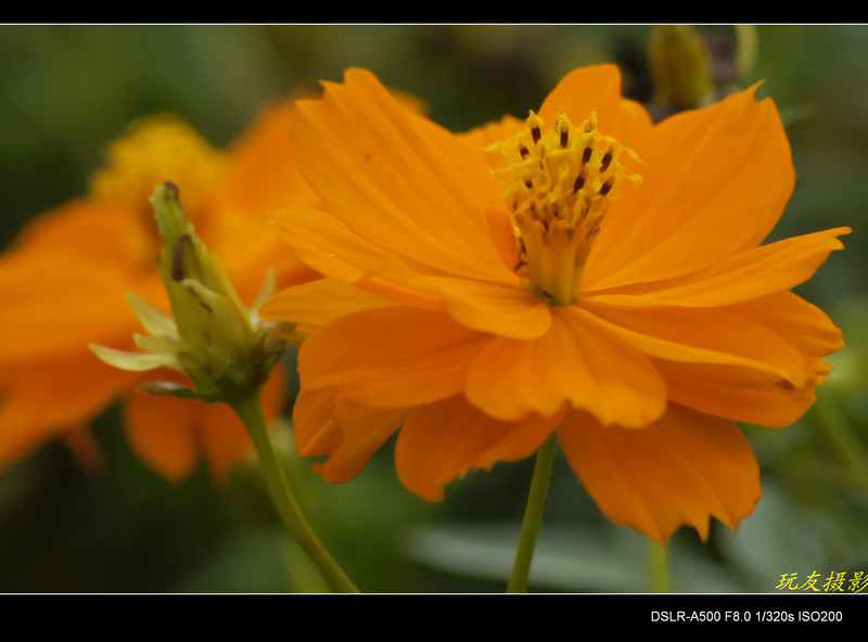 a7828852_s.jpg