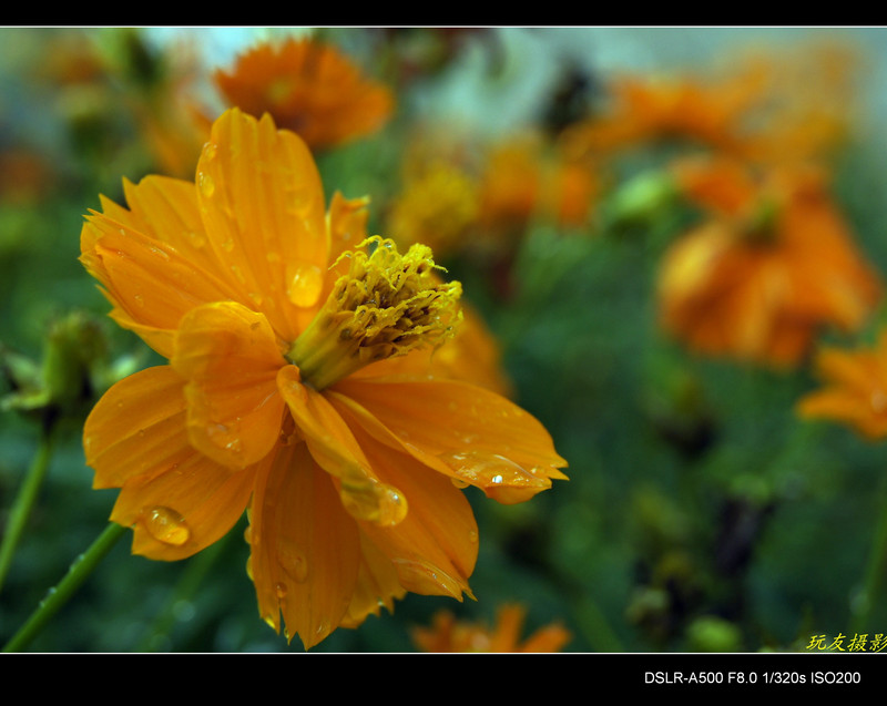 a7828766_s.jpg