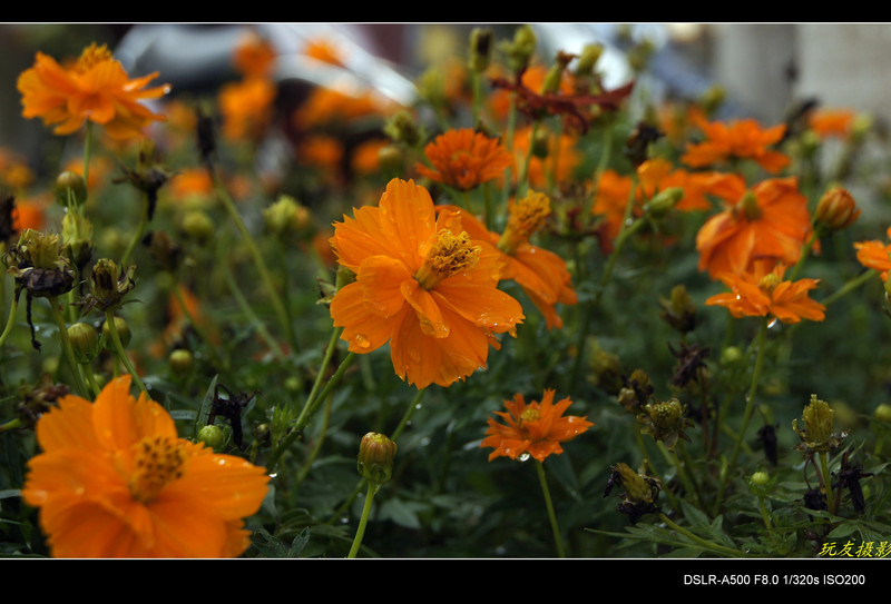 a7828782_s.jpg