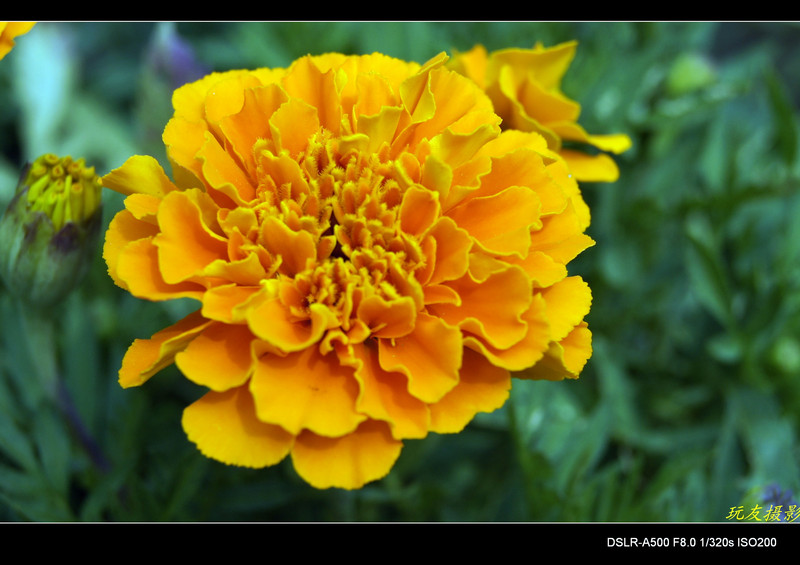 a7828803_s.jpg