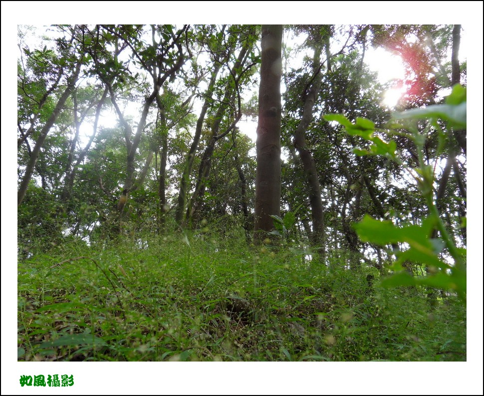 SDC17742_conew1.jpg