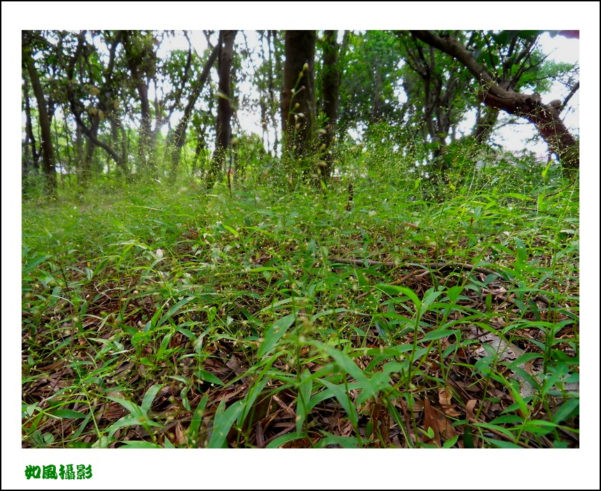 SDC17741_conew1.jpg