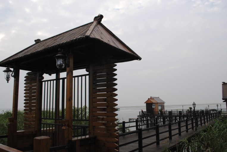95.jpg