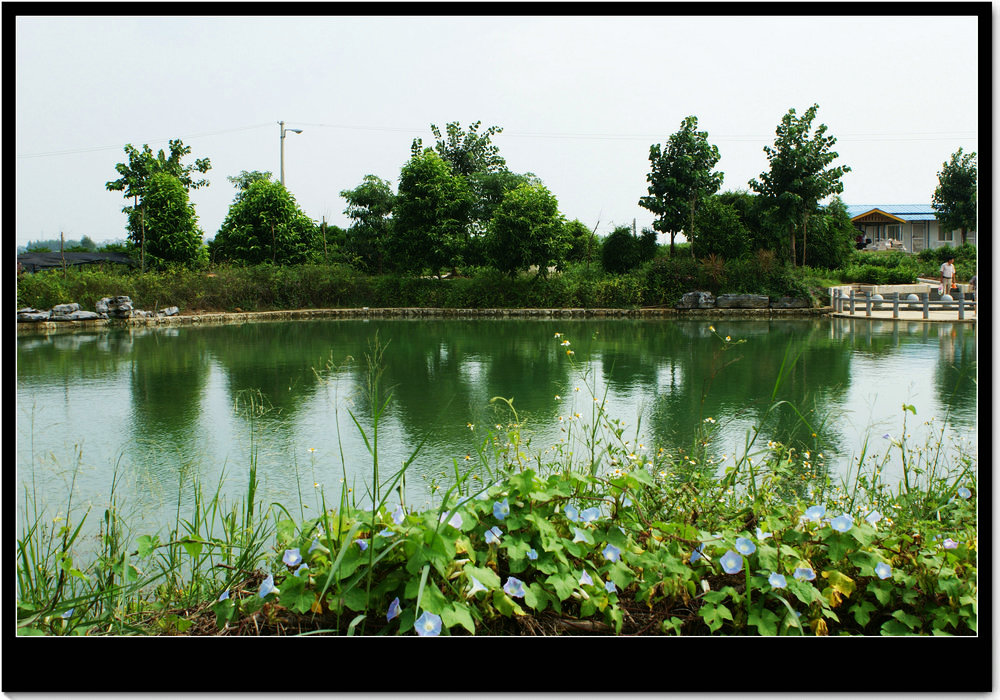 DSC09875.JPG