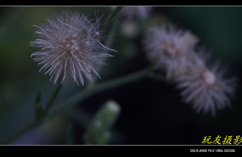 a7871900_s.jpg