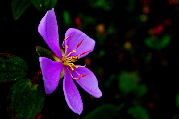 DSC_0065.jpg