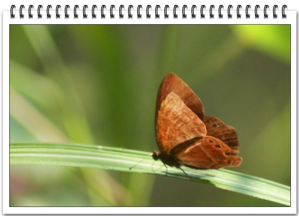 DSC00719_副本.JPG