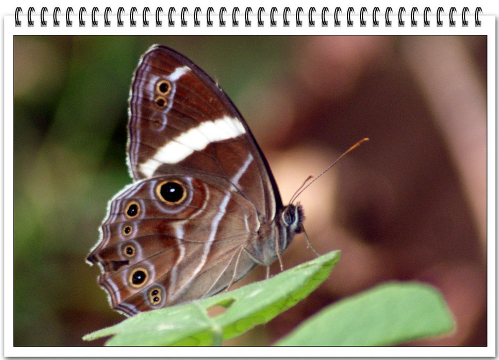 DSC00794_副本.JPG