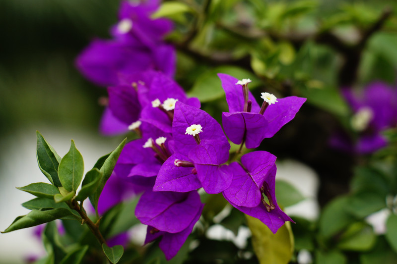 a7892989_s.jpg